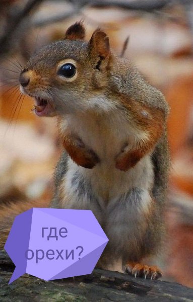 IMG 20190425 193816