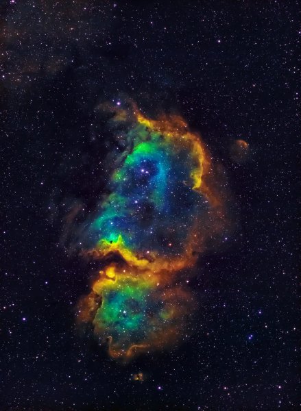 W661520363