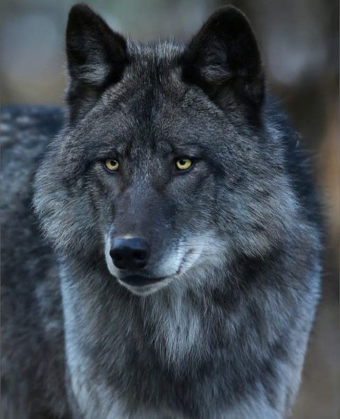 21-23-15-182590493 279266900578076 7076614376544701142 n