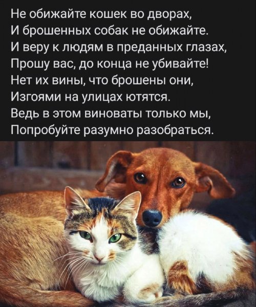 Не обижайте...