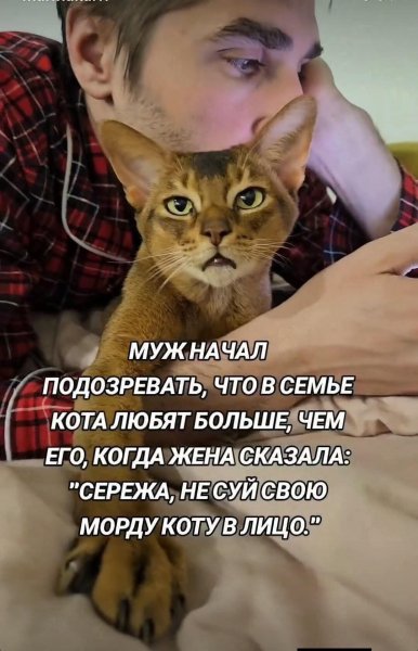 FB IMG 1768134427609