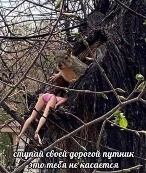 Не ваше дело)