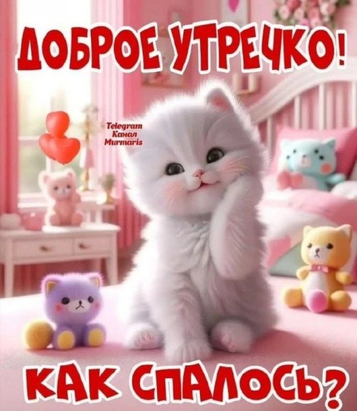 IMG 20260225 082636 954