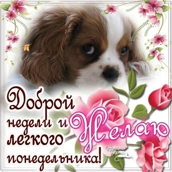 IMG 20260126 200757 614