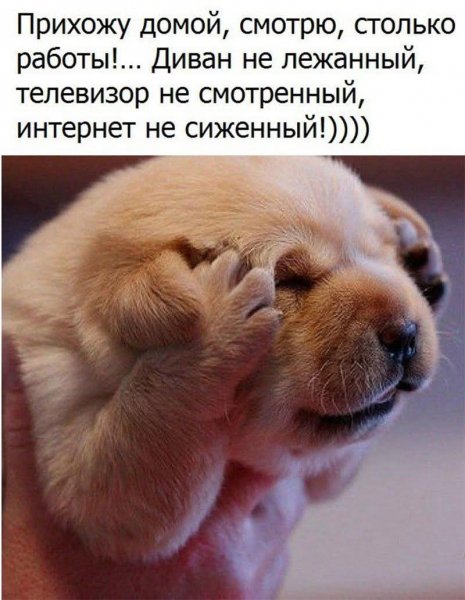 FB IMG 1768217634026