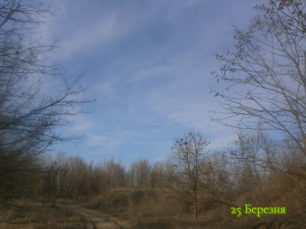 25 Березня