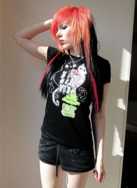 picture_77284543