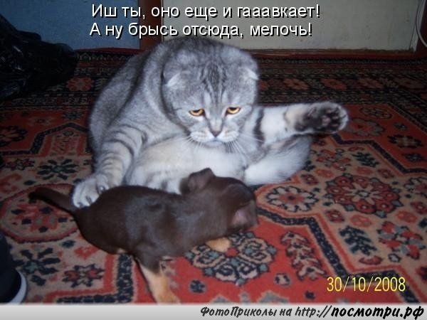Опаньки!