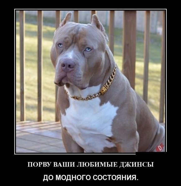 Дизайнер