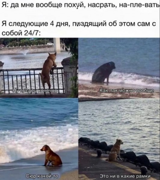 Ebfb0fe6e0 19984791