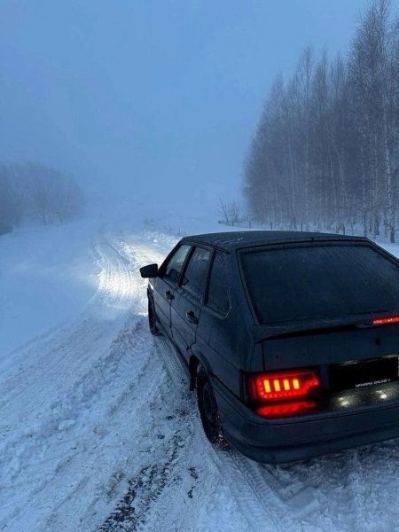picture_407604067