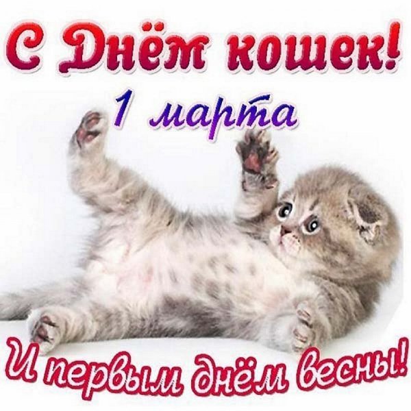 С днём кошек и первым днём весны!
