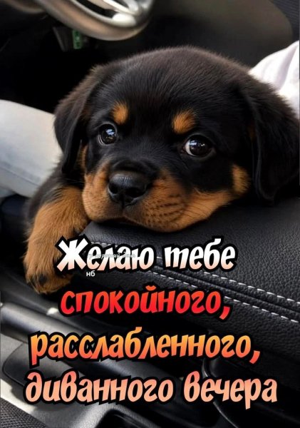 IMG 20260830 205951 705