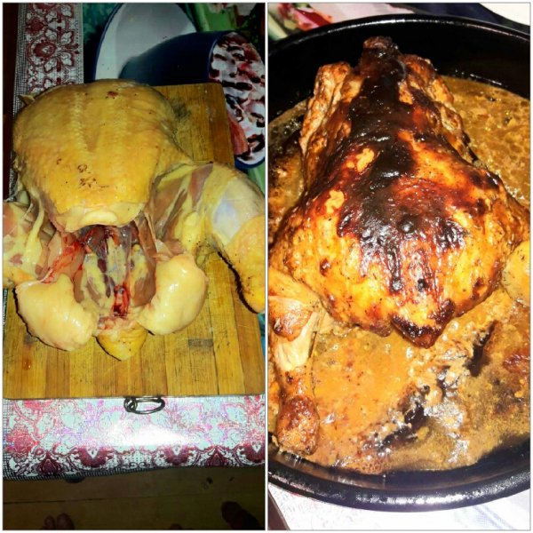 KUROChKA-vps404.strip2.co