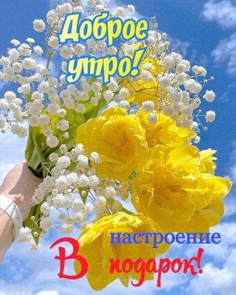 FB IMG 1615352680071