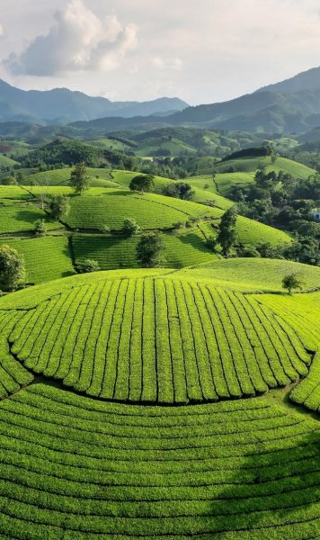 Screenshot 20260306-121832 One UI Home