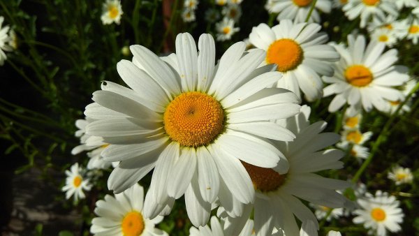 IMG 20210607 154643