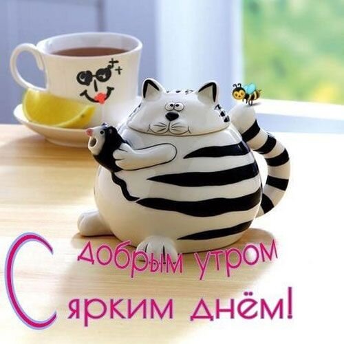 IMG-20250312-WA0004