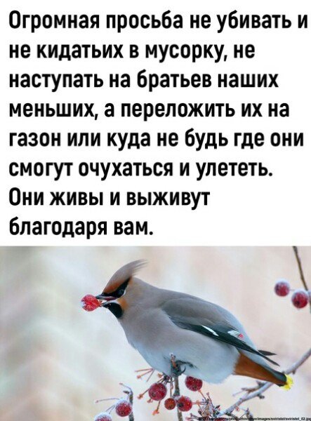 (3)
