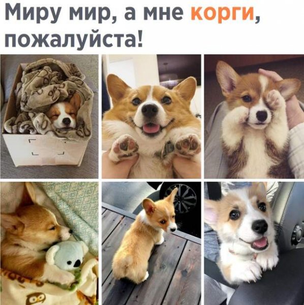 Да! ))