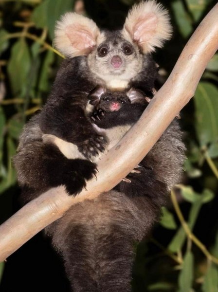 ddd0cb3f967e599d9e62d709