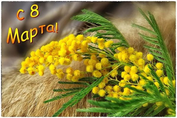1 март