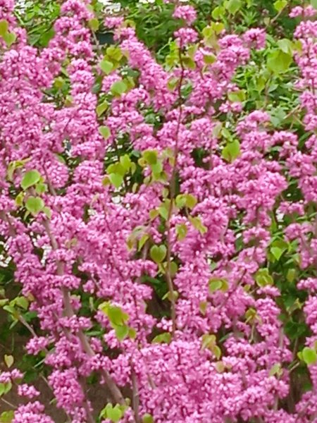 IMG 20240416 075256 1