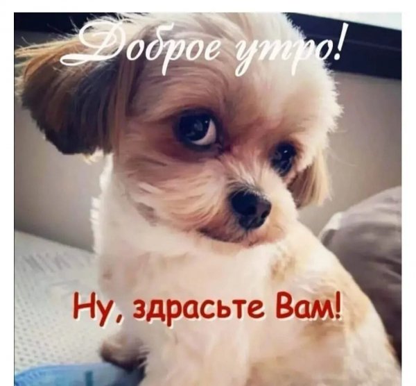 IMG-20240909-WA0000