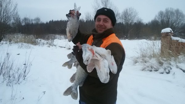 picture_288699992