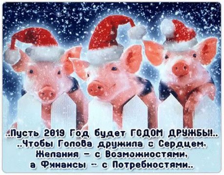 IMG-20181213-WA0033