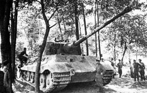 "Королевский тигр"