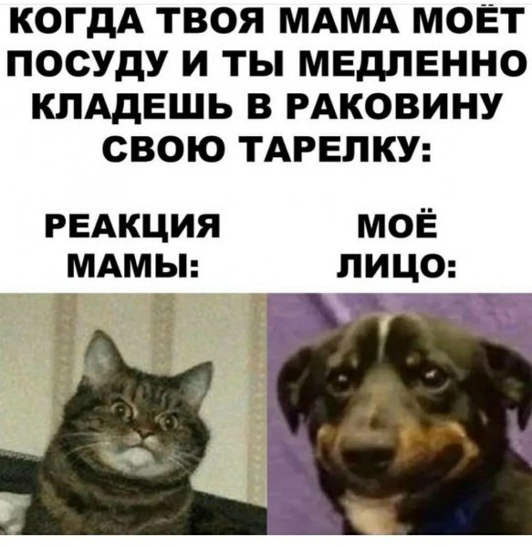 IMG 20260228 220539 497