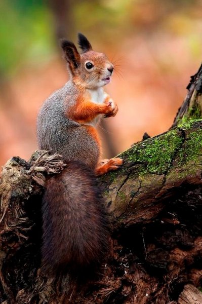 IMG 20171108 225416 0