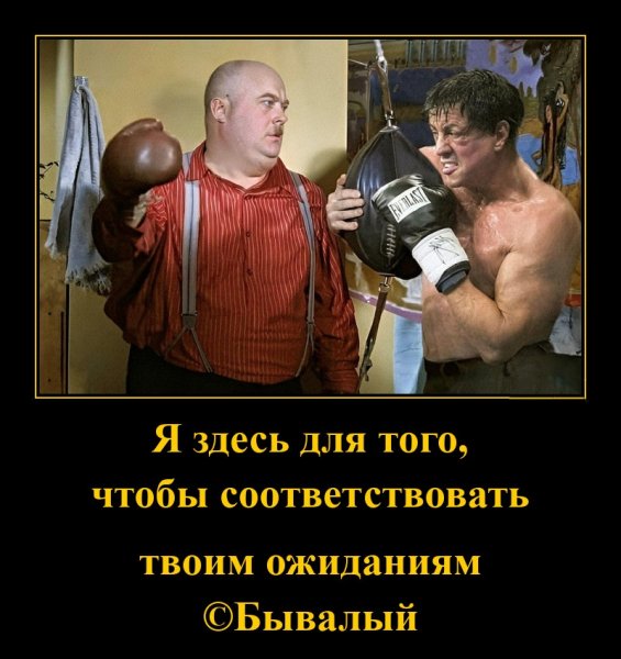 Бокс