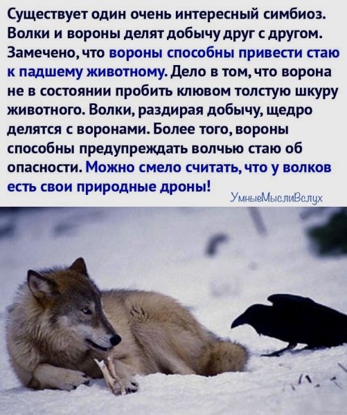 IMG-775197e4da4555b3838a44c127eb0d61-V