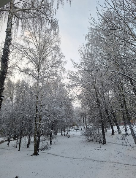 Моя прогулка по зимнему Брянску