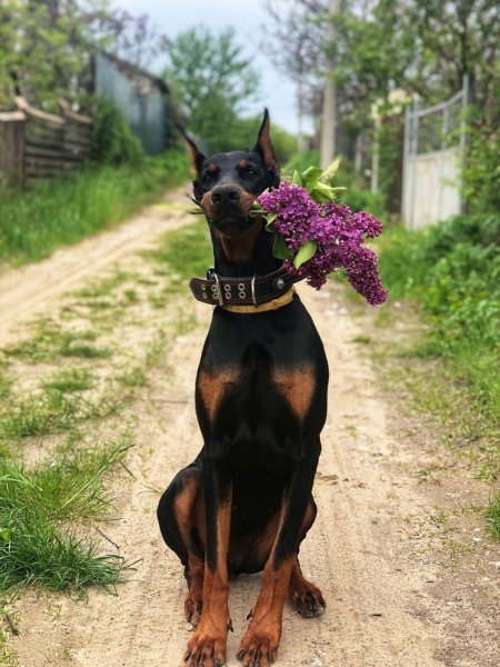 a258ce755aafc48ef62cbd