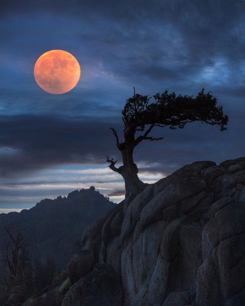 0D40EE38-A442-4DD9-89F5-1D310BED2744