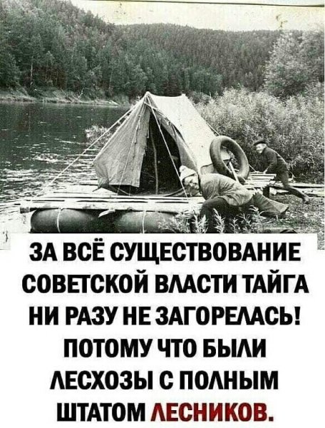 IMG 20240129 110711