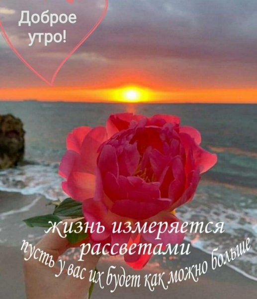 IMG-20210529-WA0000