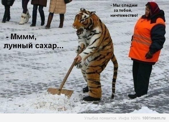 picture_77884276
