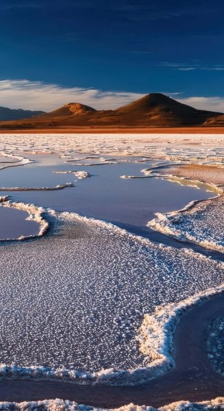 Screenshot 20260203-130643 One UI Home