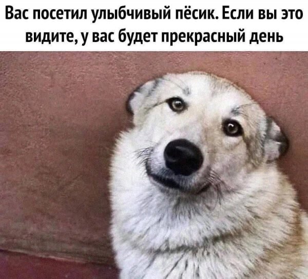 Да!!!