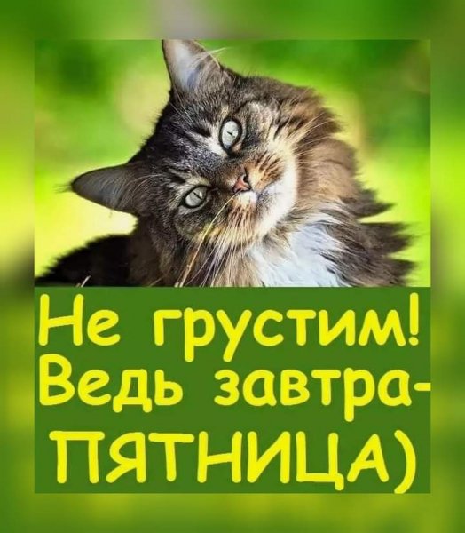 FB IMG 1621167118067