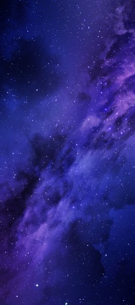 adapted 1080x2436 1724250986