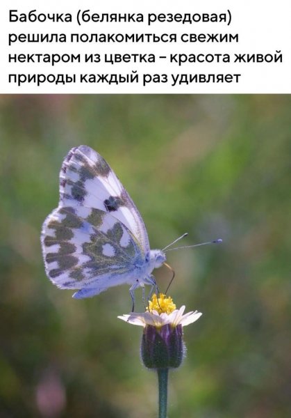 5b8f28901132ee189face11c782bc2a0