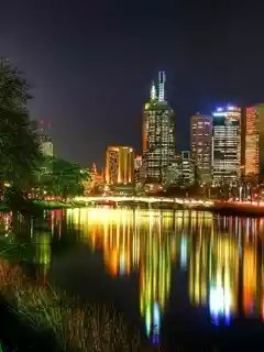 picture_99414291