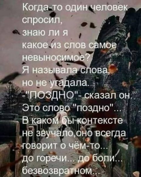 picture_408834360