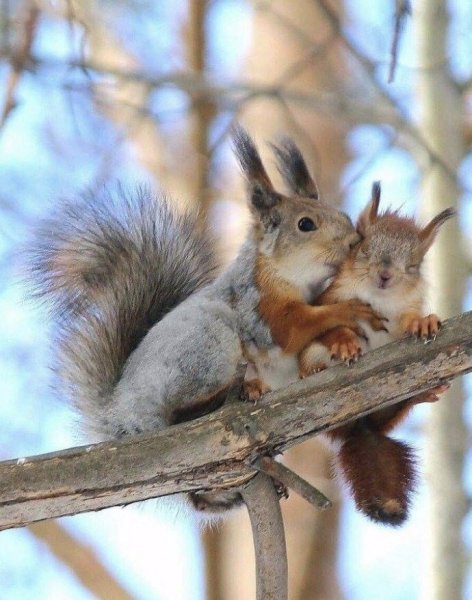 bea3ec3586a6f503eb3711bc8dd4554c