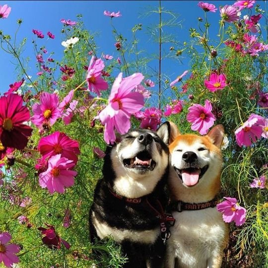 Happy Spring!